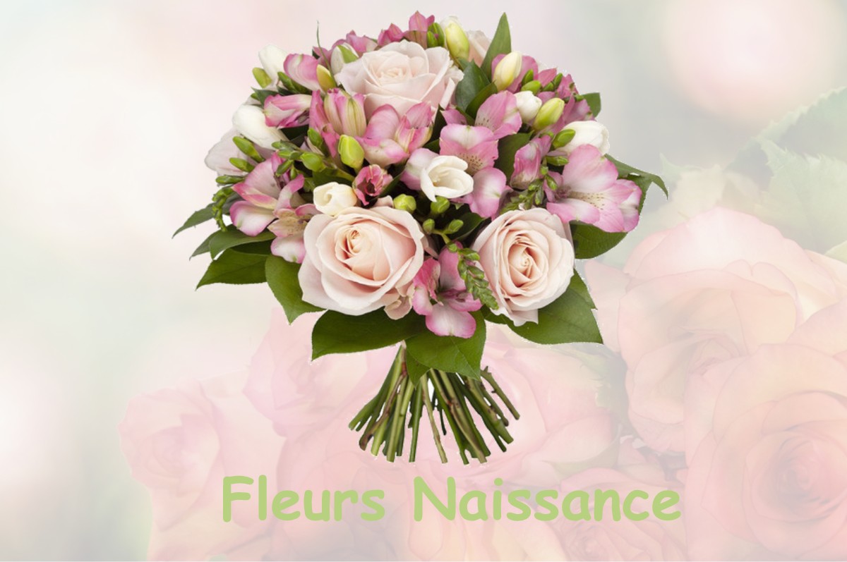 fleurs naissance DREMIL-LAFAGE