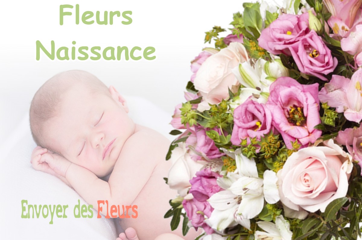 lIVRAISON FLEURS NAISSANCE à DREMIL-LAFAGE